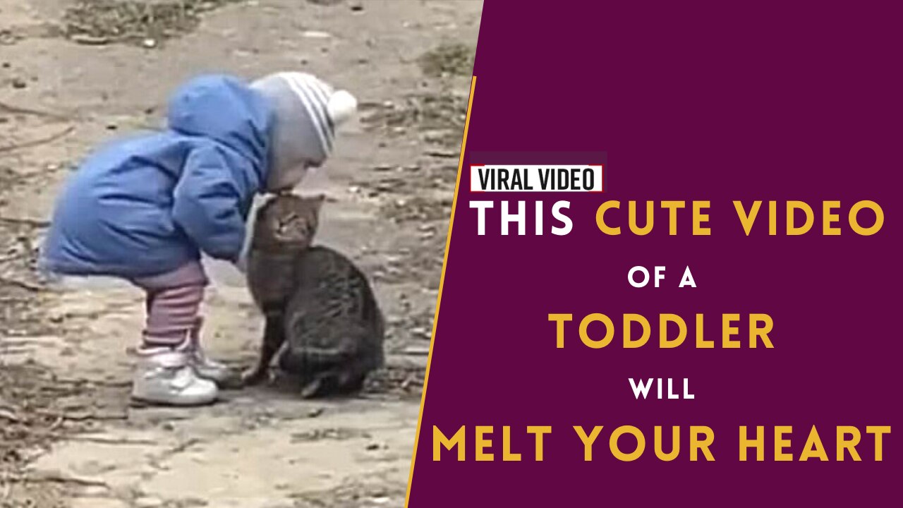 Must Watch: A Toddler Shower Kisses Over Kitty In An Adorable Video